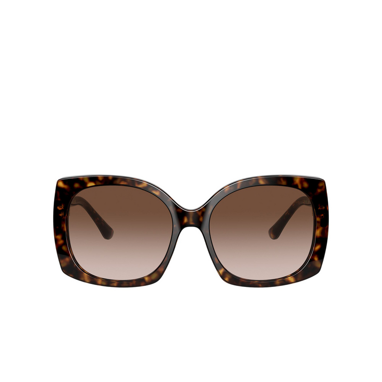 Occhiali da sole Dolce & Gabbana DG4385 502/13 havana - 1/4