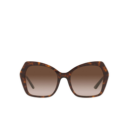 Dolce & Gabbana® Butterfly Sunglasses: DG4399 color 502/13 Havana 