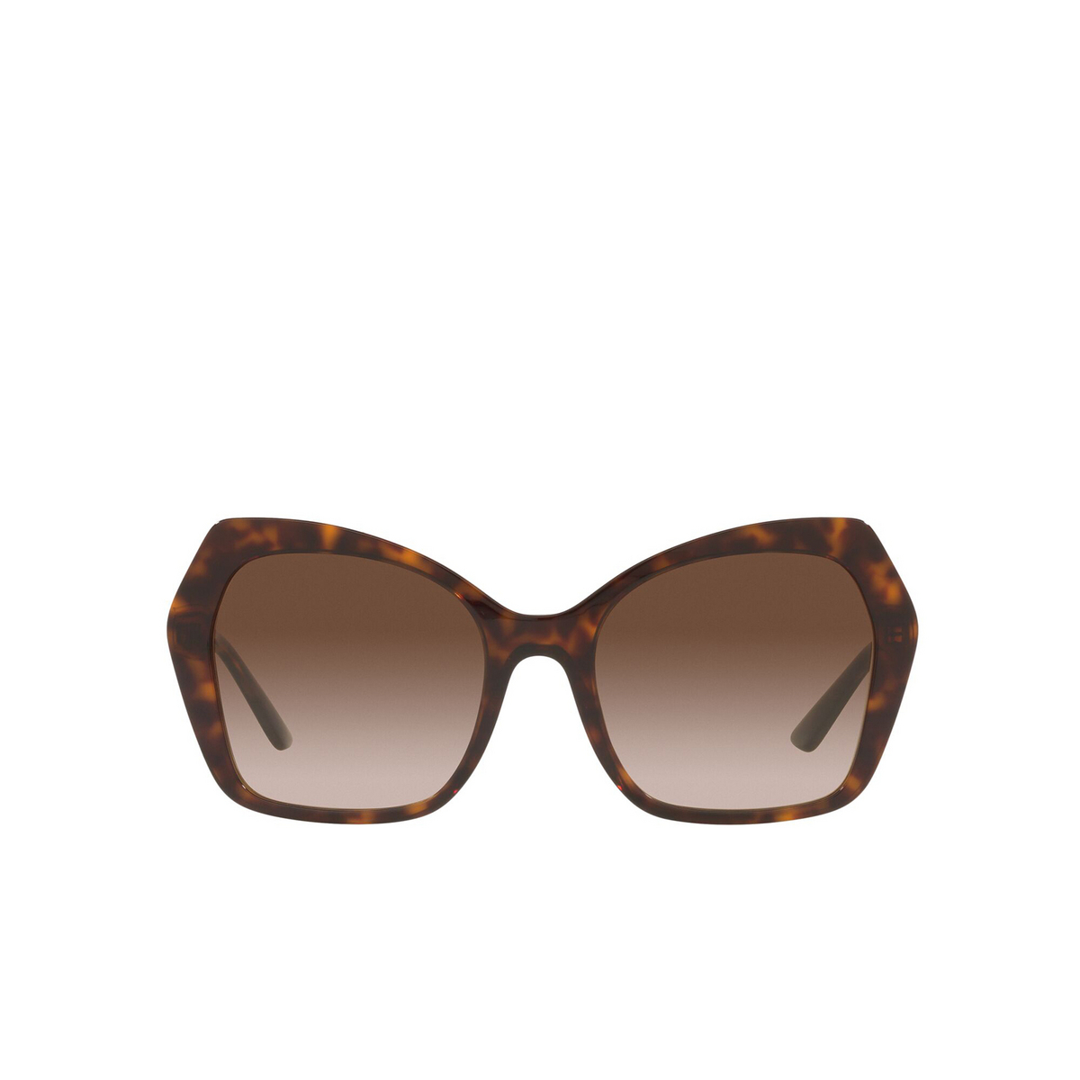 Dolce & Gabbana® Butterfly Sunglasses: DG4399 color Havana 502/13 - front view.