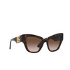 Dolce & Gabbana DG4404 Sunglasses 502/13 havana - product thumbnail 2/4
