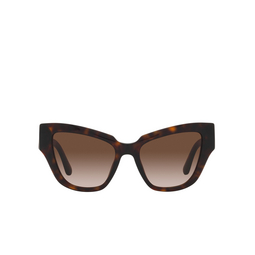 Dolce & Gabbana® Cat-eye Sunglasses: DG4404 color 502/13 Havana 