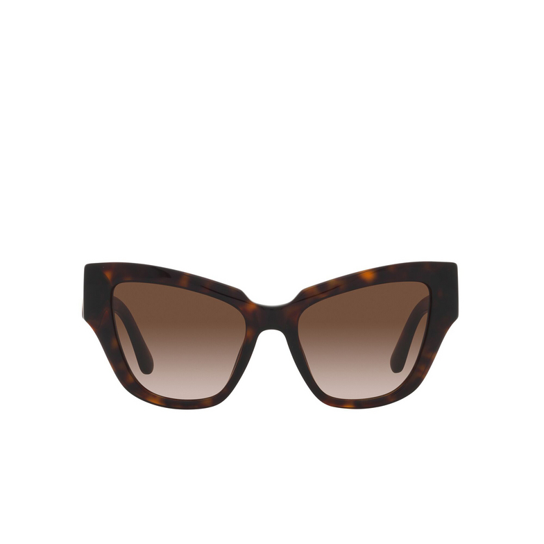 Dolce & Gabbana DG4404 Sunglasses 502/13 havana - 1/4