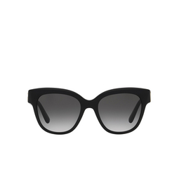 Dolce & Gabbana® Butterfly Sunglasses: DG4407 color Black 501/8G.