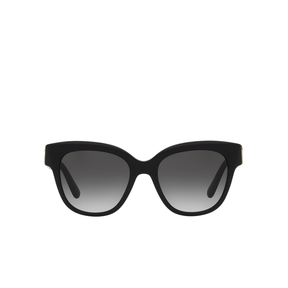 Dolce & Gabbana® Butterfly Sunglasses: DG4407 color Black 501/8G - front view.