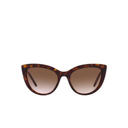 Dolce & Gabbana® Butterfly Sunglasses: DG4408 color 502/13 Havana 