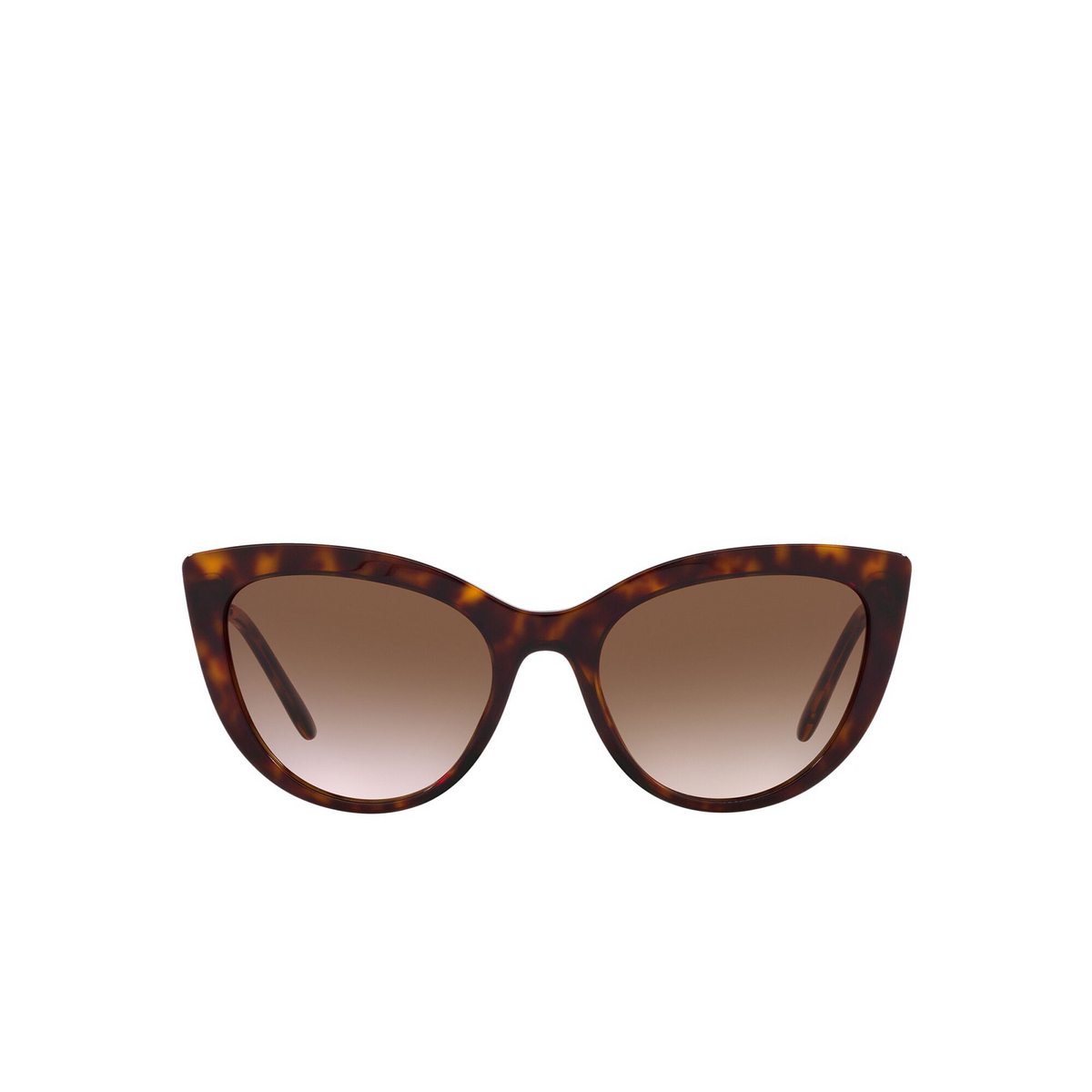 Dolce & Gabbana® Butterfly Sunglasses: DG4408 color Havana 502/13 - front view.