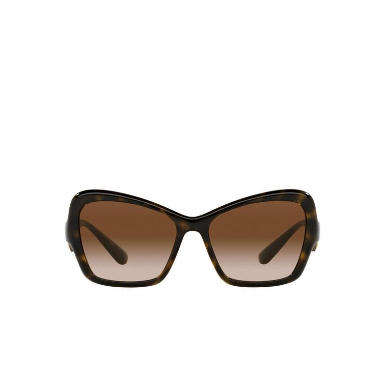 Dolce & Gabbana DG6153 Sunglasses 502/13 havana - 1/4