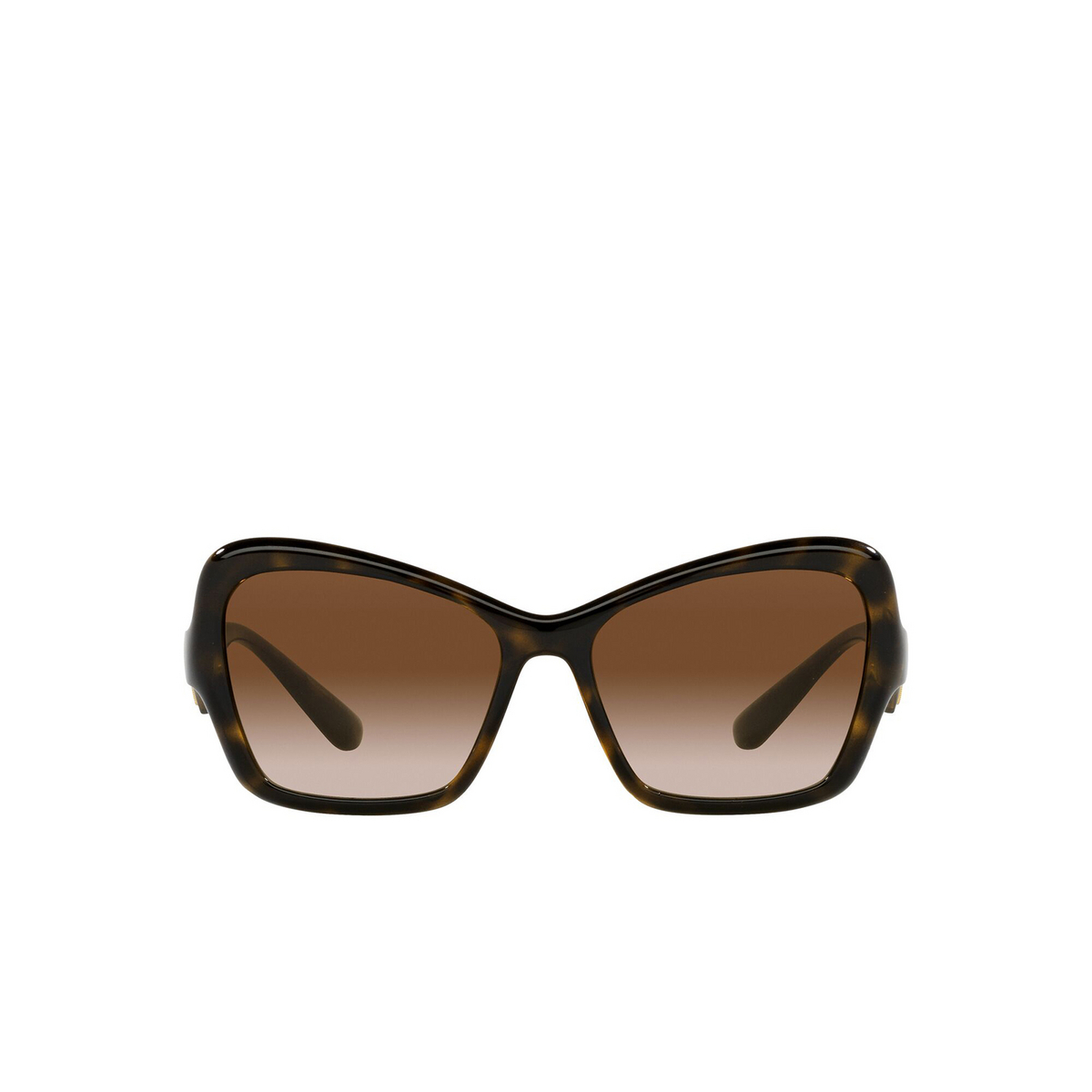 Dolce & Gabbana® Cat-eye Sunglasses: DG6153 color Havana 502/13 - front view.