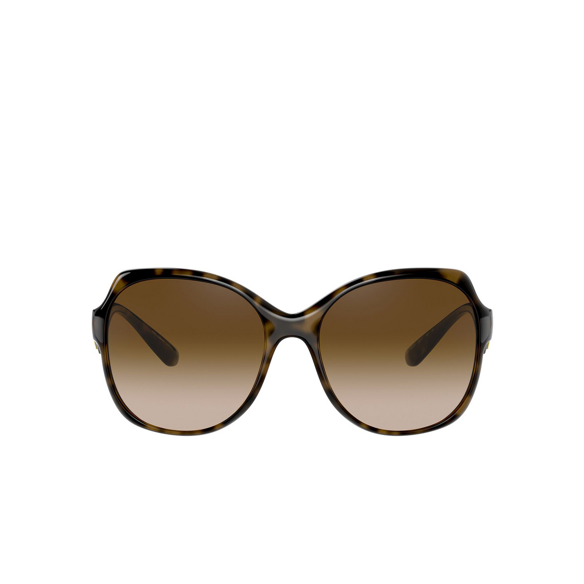 Dolce & Gabbana® Butterfly Sunglasses: DG6154 color Havana 502/13 - front view.