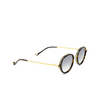 Eyepetizer 55 Sunglasses C.I-4-25F dark havana matt and gold - product thumbnail 2/5