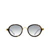 Eyepetizer 55 Sunglasses C.I-4-25F dark havana matt and gold - product thumbnail 1/5