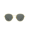 Gafas de sol Eyepetizer ALEN C.4-40 gold - Miniatura del producto 1/5