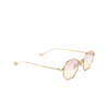 Eyepetizer HORT Sunglasses C.9-22F rose gold - product thumbnail 2/5