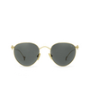 Eyepetizer LUNE Sunglasses C.4-40 gold - product thumbnail 1/5