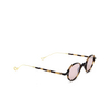 Eyepetizer RE Sunglasses C.G-1-28F havana matt and gold - product thumbnail 2/5