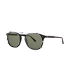 Garrett Leight KINNEY CLIP BS/G15 Brushed Silver BS/G15 brushed silver - anteprima prodotto 2/2