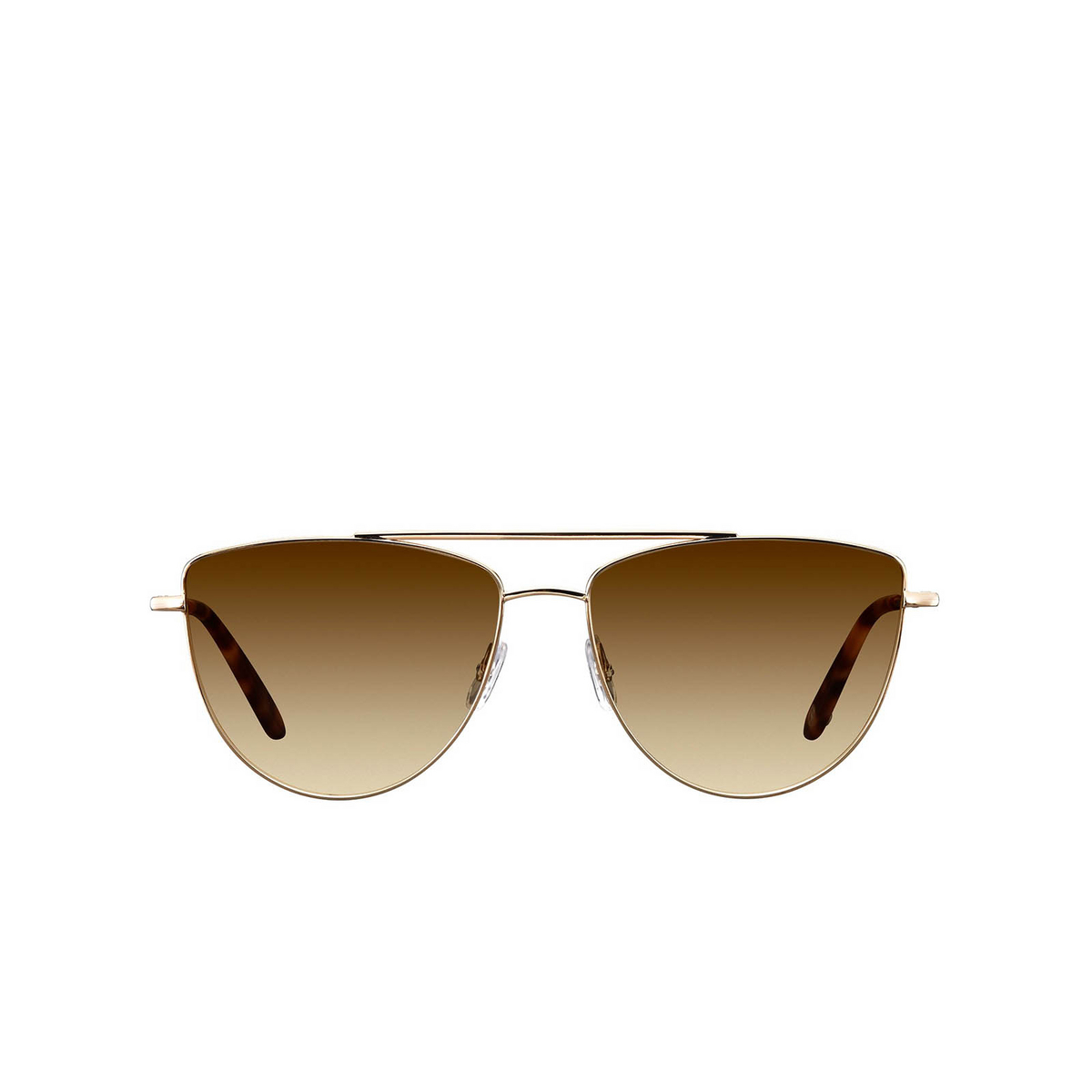 Garrett Leight ZEPHYR Sunglasses G-MDHT/SFSEG Gold Matte Dark Honey Tortoise - front view