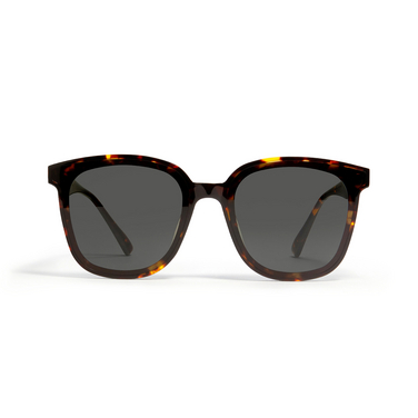 Gentle Monster JACKIE Sunglasses T1 brown tortoise - front view