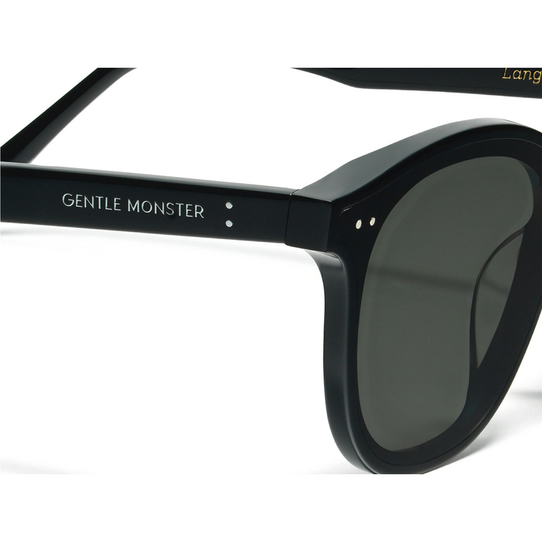 Gentle Monster LANG Sunglasses 01 black - 4/5