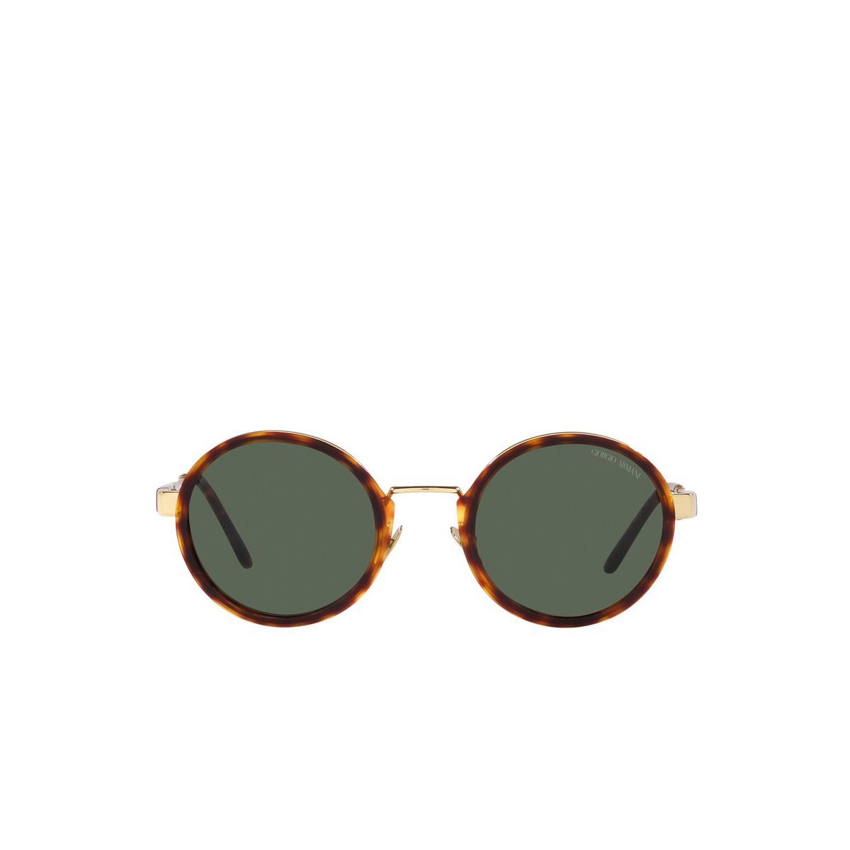 Giorgio Armani AR6133 Sunglasses 301371 Pale Gold/Tortoise - front view