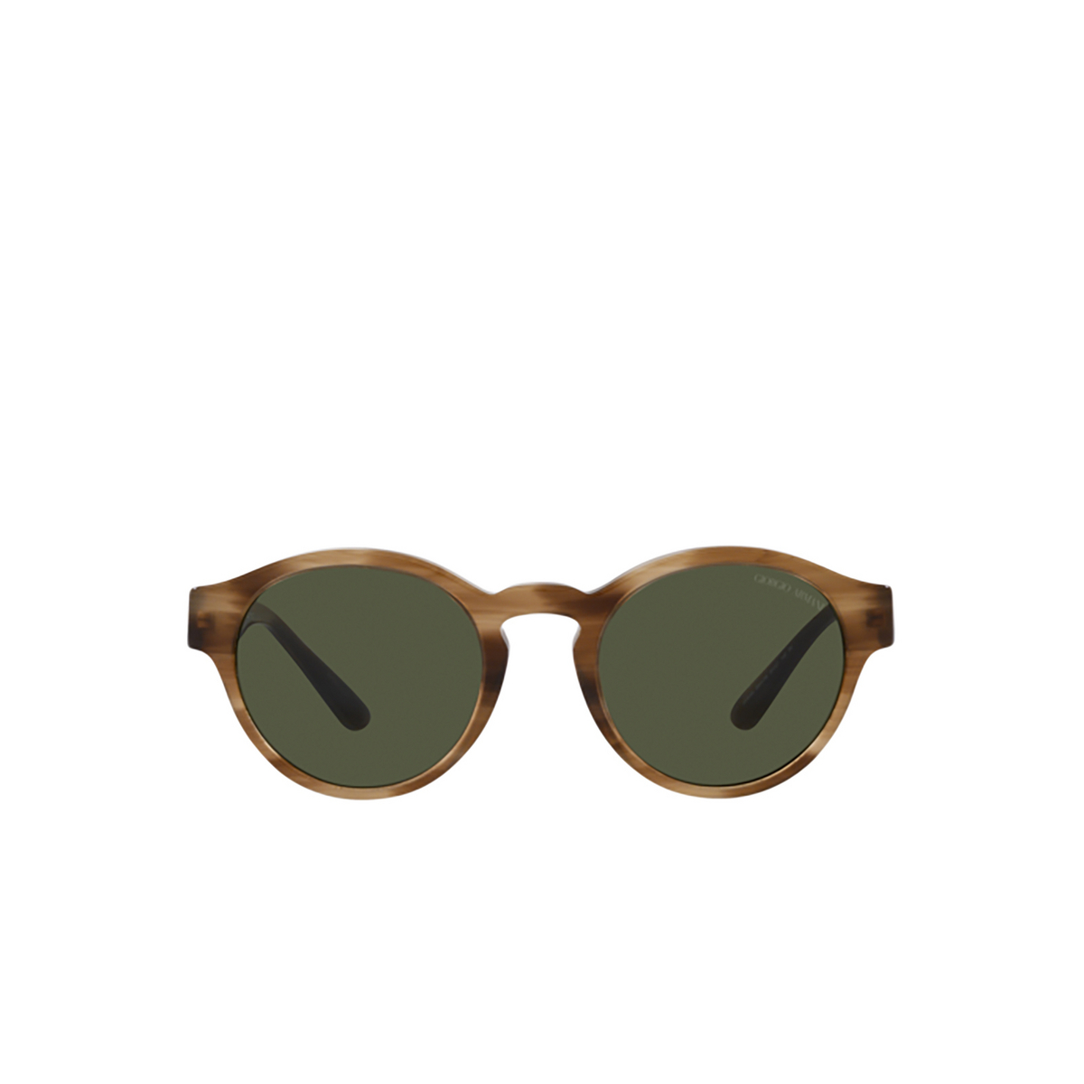 Giorgio Armani AR8146 Sunglasses 590058 Striped Brown - front view