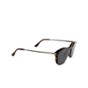 Giorgio Armani AR8159U Sunglasses 50261W havana - product thumbnail 13/14