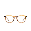 Giorgio Armani AR8159U Sunglasses 59391W striped honey - product thumbnail 1/14