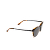Giorgio Armani AR8159U Sunglasses 59391W striped honey - product thumbnail 12/14