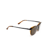 Giorgio Armani AR8159U Sunglasses 59391W striped honey - product thumbnail 13/14