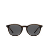 Giorgio Armani AR8159U Sunglasses 59391W striped honey - product thumbnail 8/14