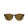 Giorgio Armani AR8159U Sunglasses 59391W striped honey - product thumbnail 9/14
