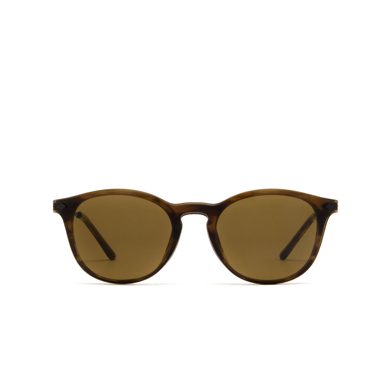 Giorgio Armani AR8159U Sunglasses 59391W striped honey - 9/14