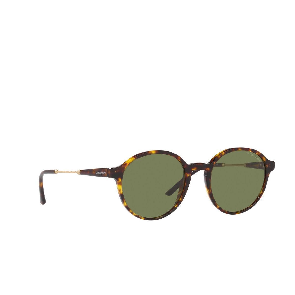 Giorgio Armani® Round Sunglasses: AR8160 color Havana 50262A - three-quarters view.