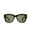 Gucci GG1110S Sunglasses 002 havana - product thumbnail 1/4