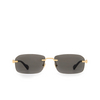 Gafas de sol Gucci GG1221S 001 gold - Miniatura del producto 1/4
