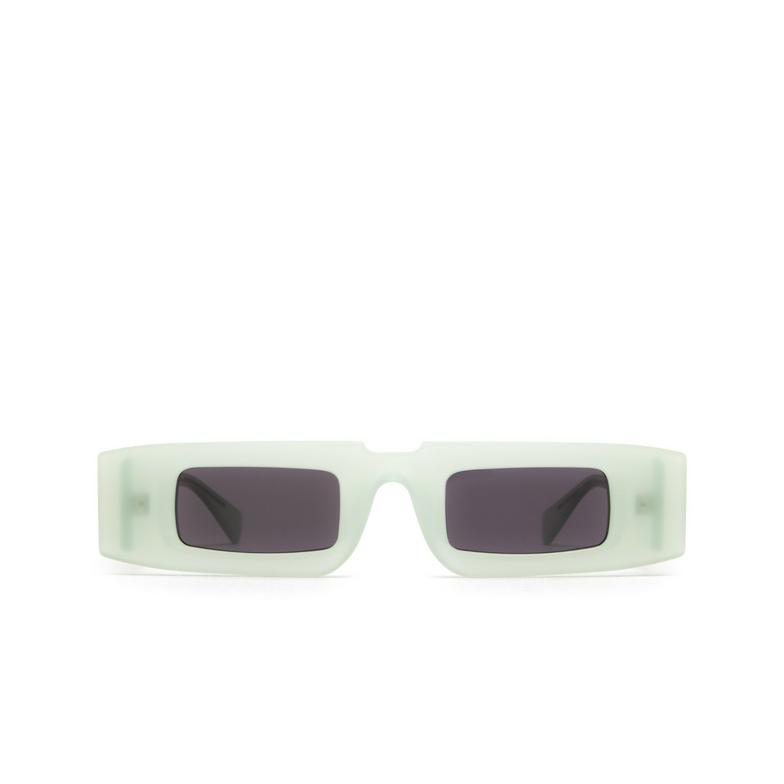 Kuboraum X5 Sunglasses JADE - 1/4