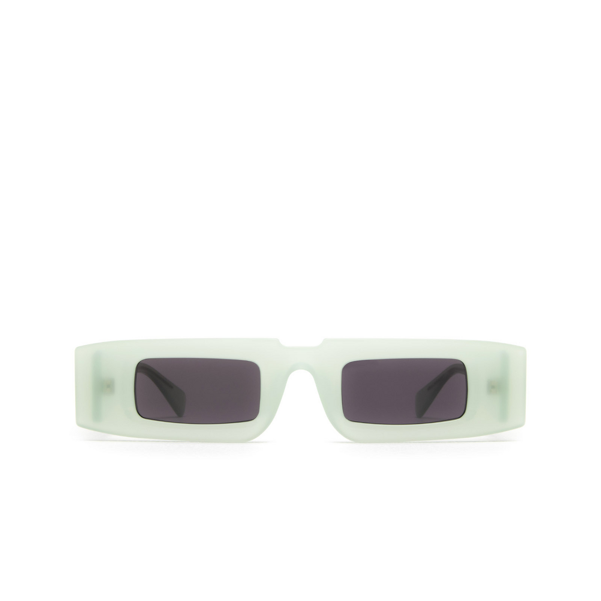 Kuboraum® Rectangle Sunglasses: X5 color Jade - front view.