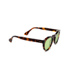 Lesca CLAN Sunglasses 4 / LIGHT GREEN havana / light green - product thumbnail 2/4