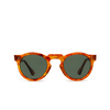 Lesca CLAN Sunglasses 6 light tortoise - product thumbnail 1/4