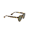 Lesca CLAN Sunglasses 9 marble tortoise - product thumbnail 2/4