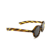 Lesca LARGO Sunglasses 193 havana - product thumbnail 2/4