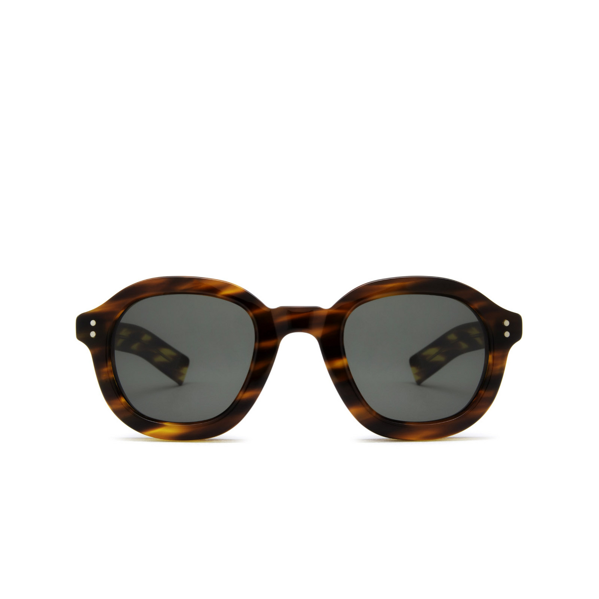 Lesca® Square Sunglasses: Largo color Havana 193 - front view.