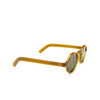 Gafas de sol Lesca S.FREUD 1 honey - Miniatura del producto 2/4