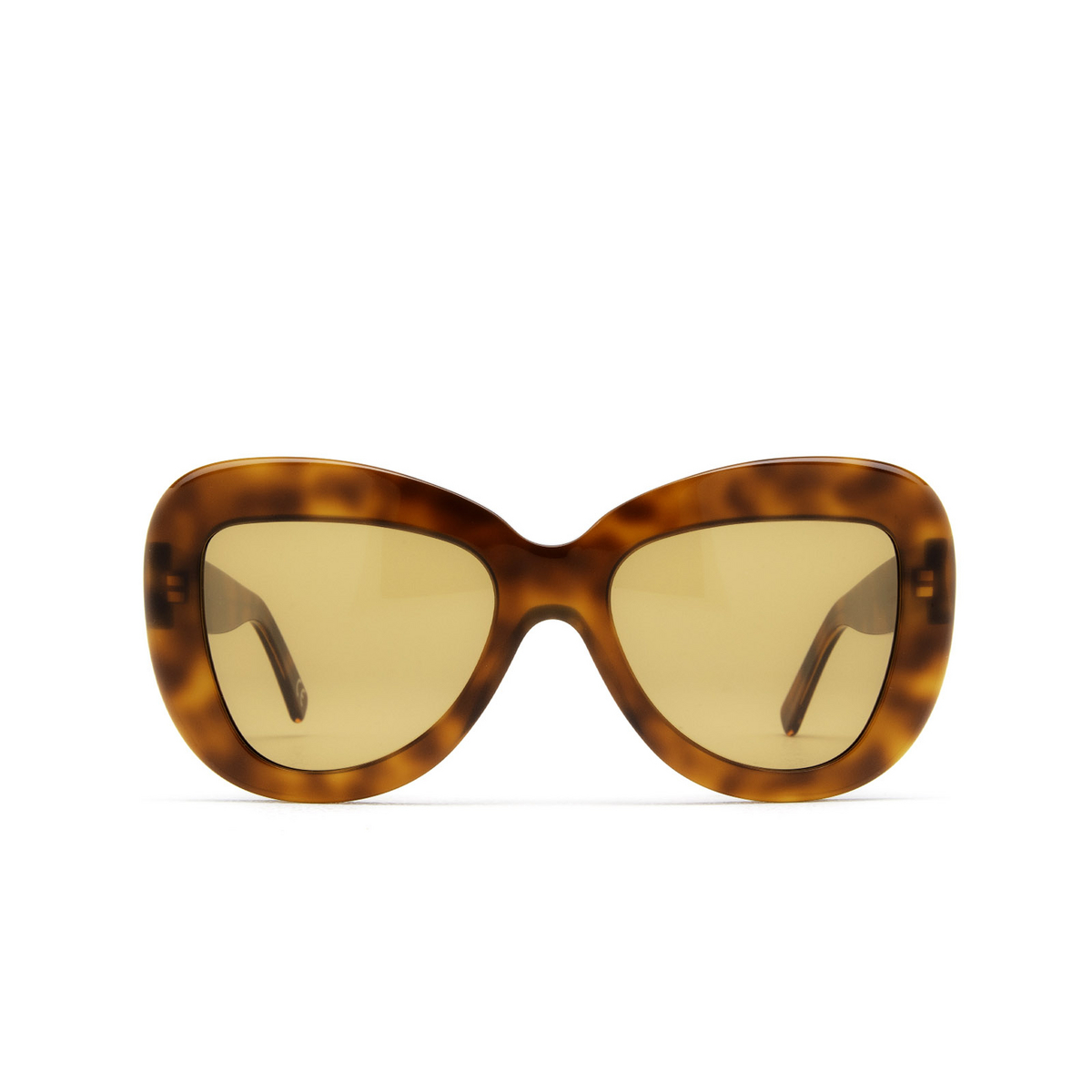 Marni® Butterfly Sunglasses: Elephant Island color Havana 5UA - front view.
