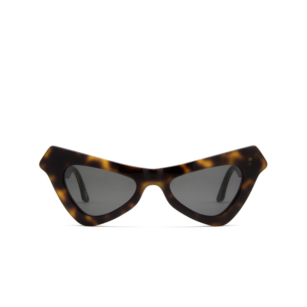 Marni® Irregular Sunglasses: Fairy Pools color Havana Ldg - front view.