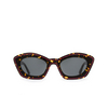Marni KEA ISLAND Sunglasses FII havana - product thumbnail 1/6