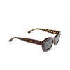 Marni KEA ISLAND Sunglasses FII havana - product thumbnail 2/6