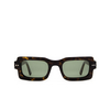 Marni LAKE VOSTOK Sunglasses P91 havana 3627 - product thumbnail 1/5