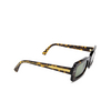 Marni LAKE VOSTOK Sunglasses P91 havana 3627 - product thumbnail 2/5