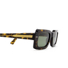 Marni LAKE VOSTOK Sunglasses P91 havana 3627 - product thumbnail 3/5